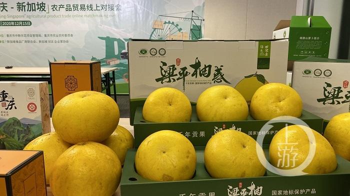 狮城点单，山城上菜 一位新加坡朋友与重庆客商的批发贸易之夜