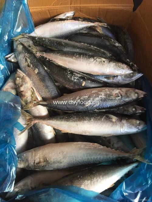 福建贸易商在商品批发贸易中的角色与发展趋势
